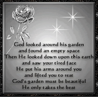 God Looked Around His Garden And Found An Empty Space.... Pictures