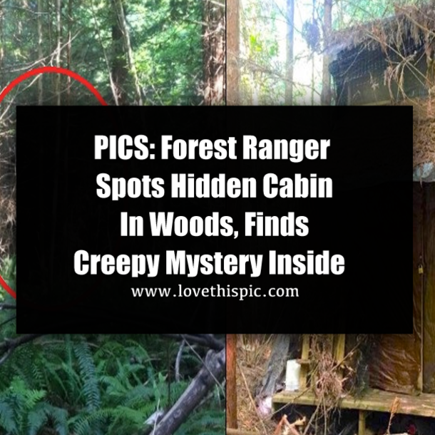 Pics Forest Ranger Spots Hidden Cabin In Woods Finds Creepy