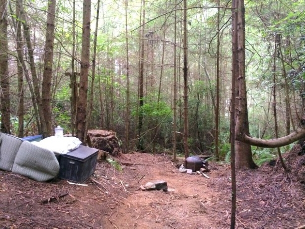 Pics Forest Ranger Spots Hidden Cabin In Woods Finds Creepy