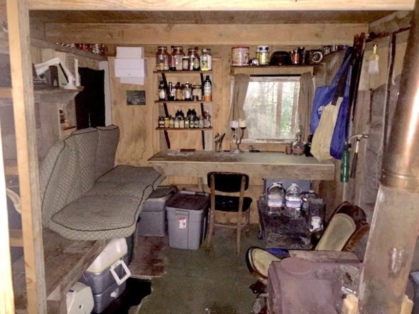 Pics Forest Ranger Spots Hidden Cabin In Woods Finds Creepy