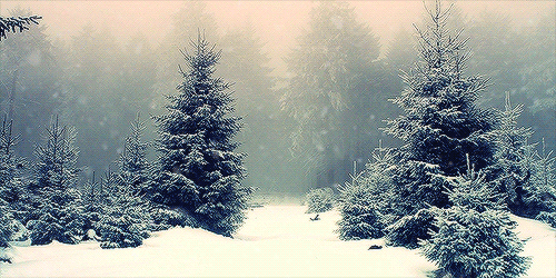 Snowy Christmas Landscape