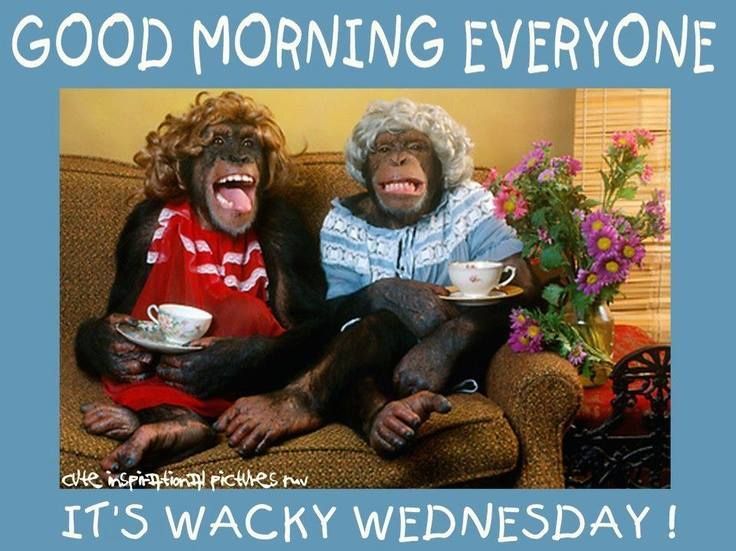 212017-Good-Morning-Everyone-Its-Wacky-Wednesday.jpg