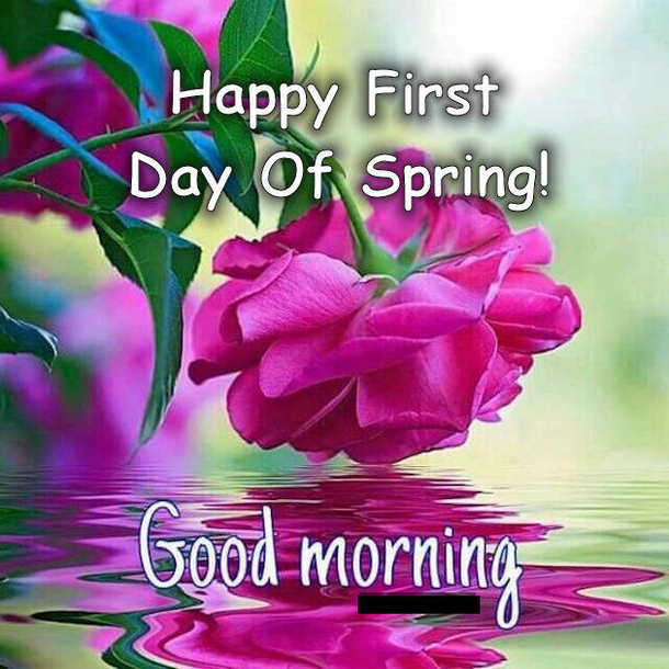 Happy First Day Of Spring Quotes 10 Best Happy First Day Of Spring Quotes To Start The New Season
