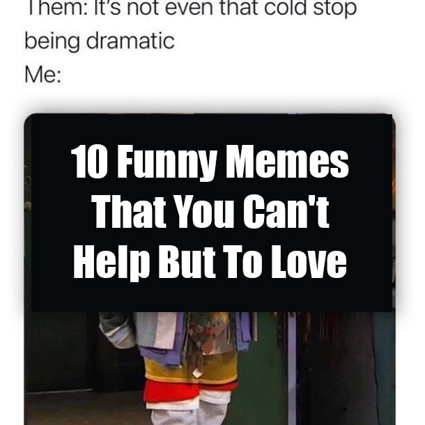 10 Funny Memes That You Can T Help But To Love