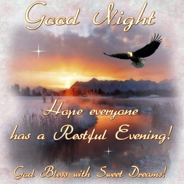 10 Lovely Good Evening Good Night Quotes