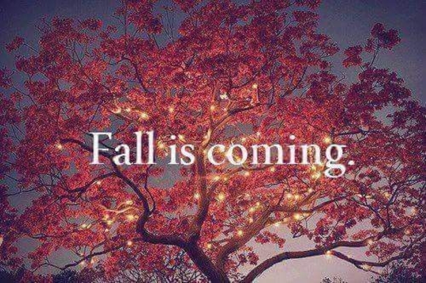 Fall Is Coming Quotes 10 Quotes To Get You Ready For The Fall Season