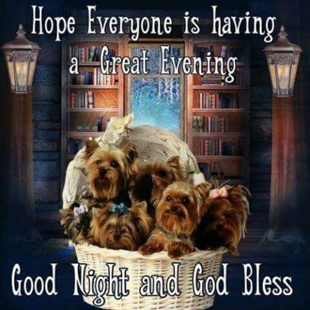 10 Touching Good Evening Quotes And Sayings