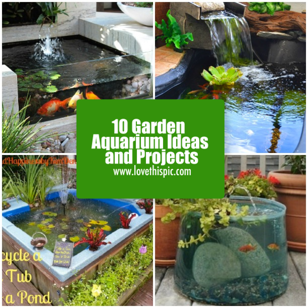 garden aquarium